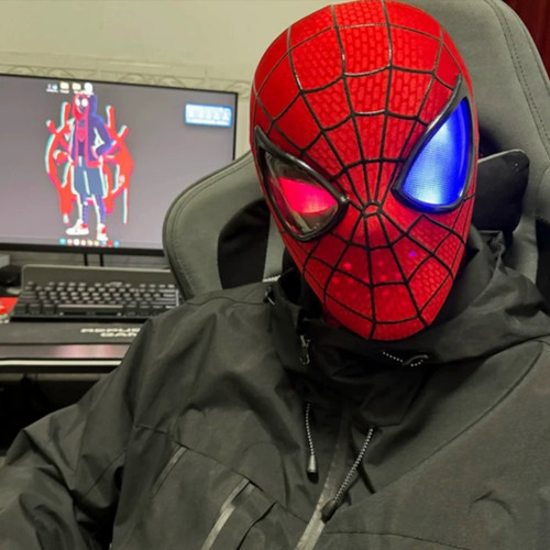 The amazing spider man - the,